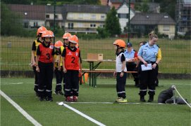 Fédération Nationale des Pompiers